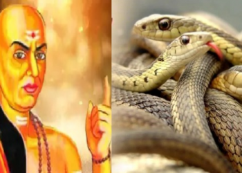 চানক্য নীতি: এনে পৰিস্থিতিত সাপৰ দৰে আচৰণ কৰক; কঠিন সময়ো পাৰ হৈ যাব অনায়াসে