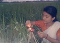 আজি কাতি বিহু; তুলসী তলত মাটিৰ চাকি জ্বলাই কঙালীত লখিমীক আদৰাৰ কামনা