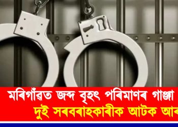 মৰিগাঁৱত জব্দ বৃহৎ পৰিমাণৰ গাঞ্জা : দুই সৰবৰাহকাৰীক আটক আৰক্ষীৰ