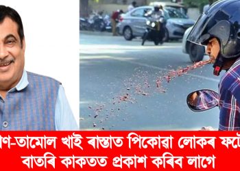 পাণ-তামোল খাই ৰাস্তাত পিকোৱা লোকৰ ফটো বাতৰি কাকতত প্ৰকাশ কৰিব লাগে : নীতিন গাডকাৰী