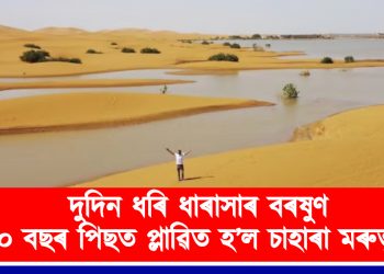 দুদিন ধাৰাসাৰ বৰষুণ : ৫০ বছৰ পিছত প্লাৱিত হ’ল চাহাৰা মৰুভূমি