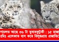অৰুণাচল প্ৰদেশত আছে ৩৬ টা তুষাৰফুটুকী : ১৫ হাজাৰ বৰ্গ কিঃমিঃ এলেকাত বাস কৰে বিলুপ্তপ্ৰায় প্ৰজাতিটোৱে