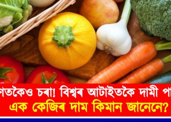 সোণতকৈও চৰা! বিশ্বৰ আটাইতকৈ দামী পাচলি, এক কেজিৰ দাম কিমান জানেনে?