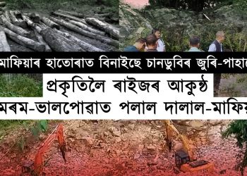 নৰ্থ-ইষ্ট নাওৰ তথ্যচিত্ৰ : “মাফিয়াৰ হাতোৰাত ভেলাহাৰীৰ বিননি”