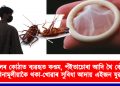 হোটেলৰ কোঠাত ব্যৱহৃত কণ্ডম, পঁইতাচোৰা আদি থৈ কৌশলেৰে বিনামূলীয়াকৈ থকা-খোৱাৰ সুবিধা আদায় এইজন যুৱকৰ