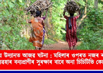 ৰাষ্ট্ৰীয় উদ্যানত আজৱ ঘটনা : মহিলাৰ ওপৰত নজৰ ৰাখিবলৈ ব্যৱহাৰ বন্যপ্ৰাণীৰ সুৰক্ষাৰ বাবে অনা চিচিটিভি কেমেৰা