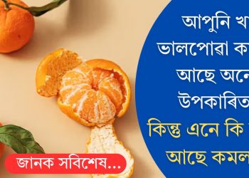 আপুনি খাই ভালপোৱা কমলাৰ আছে অনেক উপকাৰিতা! কিন্তু এনে কি বিশেষ আছে কমলাত?
