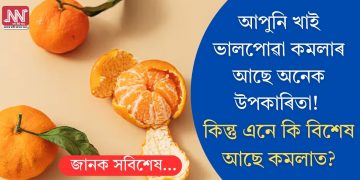 আপুনি খাই ভালপোৱা কমলাৰ আছে অনেক উপকাৰিতা! কিন্তু এনে কি বিশেষ আছে কমলাত?