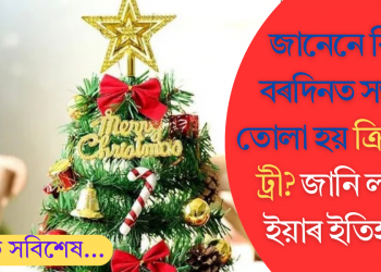 জানেনে কিয় বৰদিনত সজাই তোলা হয় ক্রিসমাস ট্ৰী? জানি লওক ইয়াৰ ইতিহাস
