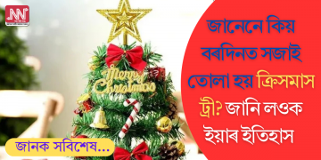 জানেনে কিয় বৰদিনত সজাই তোলা হয় ক্রিসমাস ট্ৰী? জানি লওক ইয়াৰ ইতিহাস
