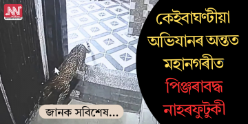 কেইবাঘণ্টীয়া অভিযানৰ অন্তত মহানগৰীত পিঞ্জৰাবদ্ধ নাহৰফুটুকী