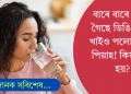 বাৰে বাৰে খাইছে পানী, তথাপি শুকাই গৈছে ডিঙি! কিয় জানেনে?