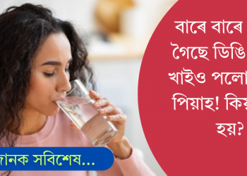 বাৰে বাৰে খাইছে পানী, তথাপি শুকাই গৈছে ডিঙি! কিয় জানেনে?