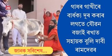 গাধৰ গাখীৰে বাৰ্ধক্য দূৰ কৰাৰ লগতে যৌৱন বজাই ৰখাত সহায়ক বুলি দাবী ৰামদেৱৰ