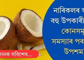 নাৰিকলৰ আছে বহু উপকাৰী গুণ! কোনসমূহ সমস্যাৰ পৰা পাব উপশম?