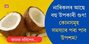 নাৰিকলৰ আছে বহু উপকাৰী গুণ! কোনসমূহ সমস্যাৰ পৰা পাব উপশম?