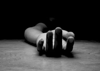 পাৰ্চেল আতংক! বাকচ খুলি ভয়ত কঁপি উঠিল মহিলা…