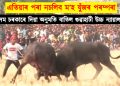 এতিয়াৰ পৰা নচলিব ম’হ যুঁজৰ পৰম্পৰা : অসম চৰকাৰে দিয়া অনুমতি বাতিল গুৱাহাটী উচ্চ ন্যায়ালয়ৰ