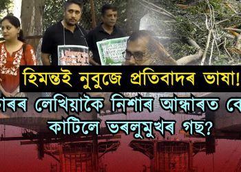 উৰণসেঁতুৰ নামত নিশাৰ ভিতৰতে ভৰলুত কাটিলে ১০ জোপাতকৈ অধিক গছ