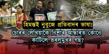 উৰণসেঁতুৰ নামত নিশাৰ ভিতৰতে ভৰলুত কাটিলে ১০ জোপাতকৈ অধিক গছ