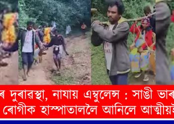 পথৰ দুৰাৱস্থা, নাযায় এম্বুলেন্স : সাঙী ভাৰ কৰি গৰ্ভৱতীক হাস্পাতাললৈ আনিলে আত্মীয়ই