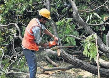 বৰ্তমানলৈ হাছদেৱ অৰণ্যত কটা হ’ল ৯৪,৪৬০জোপা গছঃ খননৰ বাবে আৰু ২.৭৩ লাখ গছ কটাৰ পৰিকল্পনা চৰকাৰৰ