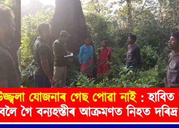 উজ্জ্বলা যোজনাৰ গেছ পোৱা নাই : হাবিত খৰি লুৰিবলৈ গৈ বন্যহস্তীৰ আক্ৰমণত নিহত দৰিদ্ৰ মহিলা
