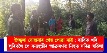 উজ্জ্বলা যোজনাৰ গেছ পোৱা নাই : হাবিত খৰি লুৰিবলৈ গৈ বন্যহস্তীৰ আক্ৰমণত নিহত দৰিদ্ৰ মহিলা