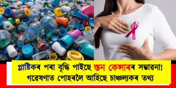 প্লাষ্টিকৰ পৰা বৃদ্ধি পাইছে স্তন কেন্সাৰৰ সম্ভাৱনা! গৱেষণাত পোহৰলৈ আহিছে চাঞ্চল্যকৰ তথ্য