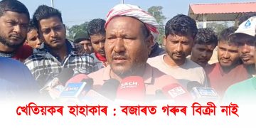 খেতিয়কৰ হাহাকাৰ : বজাৰত গৰুৰ বিক্ৰী নাই