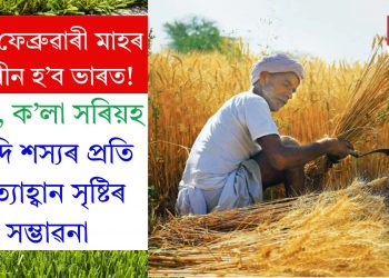 উষ্ণ ফেব্ৰুৱাৰী মাহৰ সন্মুখীন হ’ব ভাৰত! ঘেঁহু, ক’লা সৰিয়হ আদি শস্যৰ প্ৰতি প্ৰত্যাহ্বান সৃষ্টিৰ সম্ভাৱনা