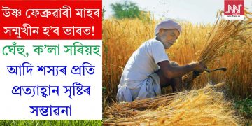 উষ্ণ ফেব্ৰুৱাৰী মাহৰ সন্মুখীন হ’ব ভাৰত! ঘেঁহু, ক’লা সৰিয়হ আদি শস্যৰ প্ৰতি প্ৰত্যাহ্বান সৃষ্টিৰ সম্ভাৱনা