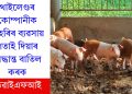 থাইলেণ্ডৰ কোম্পানীক গাহৰিৰ ব্যৱসায় গতাই দিয়াৰ সিদ্ধান্ত বাতিল কৰকঃ ডিৱাইএফআই