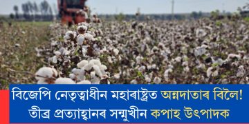 বিজেপি নেতৃত্বাধীন মহাৰাষ্ট্ৰত অন্নদাতাৰ বিলৈ! তীব্ৰ প্ৰত্যাহ্বানৰ সন্মুখীন কপাহ উৎপাদক