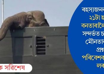 ৰহস্যজনকভাৱে ২১টা হাতী বনতাৰালৈ বদলি সন্দৰ্ভত চৰকাৰী মৌনতাক লৈ প্ৰশ্ন পৰিবেশকৰ্মীসকলৰ