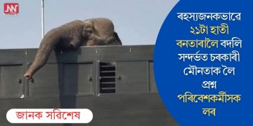 ৰহস্যজনকভাৱে ২১টা হাতী বনতাৰালৈ বদলি সন্দৰ্ভত চৰকাৰী মৌনতাক লৈ প্ৰশ্ন পৰিবেশকৰ্মীসকলৰ