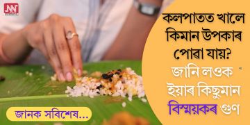 কলপাতত খালে কিমান উপকাৰ পোৱা যায়? জানি লওক ইয়াৰ কিছুমান বিস্ময়কৰ গুণ