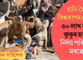 বিশ্বকাপৰ গ্লেমাৰ হানি হৈছে! ৩০ লাখ ৰাস্তাৰ কুকুৰ হত্যাৰ নিৰ্দয় পৰিকল্পনা মৰক্কোৰ