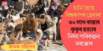 বিশ্বকাপৰ গ্লেমাৰ হানি হৈছে! ৩০ লাখ ৰাস্তাৰ কুকুৰ হত্যাৰ নিৰ্দয় পৰিকল্পনা মৰক্কোৰ