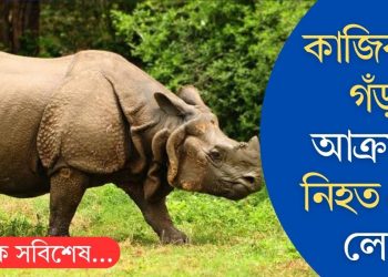 কাজিৰঙাত গঁড়ৰ আক্ৰমণত নিহত এজন লোক