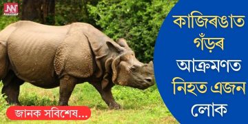 কাজিৰঙাত গঁড়ৰ আক্ৰমণত নিহত এজন লোক