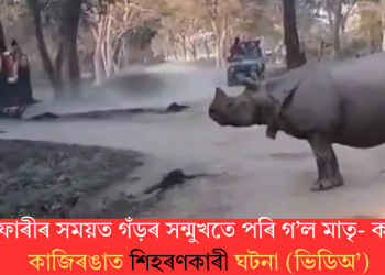 ছাফাৰীৰ সময়ত গঁড়ৰ সন্মুখতে পৰি গ’ল মাতৃ- কন্যা! কাজিৰঙাত শিহৰণকাৰী ঘটনা (ভিডিঅ’)