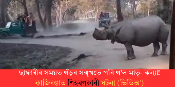 ছাফাৰীৰ সময়ত গঁড়ৰ সন্মুখতে পৰি গ’ল মাতৃ- কন্যা! কাজিৰঙাত শিহৰণকাৰী ঘটনা (ভিডিঅ’)