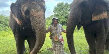 মুখ্যমন্ত্ৰীৰ কাৰ্যালয়ৰ অস্বীকাৰৰ পাছতো আম্বানীৰ চিৰিয়াখানালৈ নিয়া হ’ল অসমৰ দুটা হাতী
