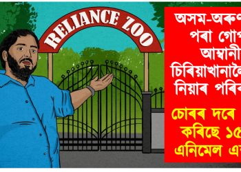 অসম-অৰুণাচলৰ পৰা গোপনে আম্বানীৰ চিৰিয়াখানালৈ হাতী নিয়াৰ পৰিকল্পনা : চোৰৰ দৰে প্ৰৱেশ কৰিছে ১৫ খন এনিমেল এম্বুলেন্স