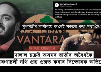 আম্বানীৰ ব্যক্তিগত চিৰিয়াখানালৈ হাতীৰ সৰবৰাহ