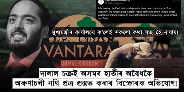 আম্বানীৰ ব্যক্তিগত চিৰিয়াখানালৈ হাতীৰ সৰবৰাহ