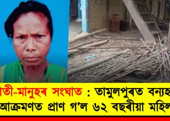 হাতী-মানুহৰ সংঘাত : তামুলপুৰত বন্যহস্তীৰ আক্ৰমণত প্ৰাণ গ’ল ৬২ বছৰীয়া মহিলাৰ