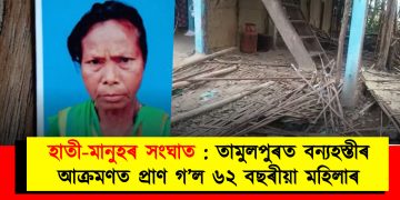 হাতী-মানুহৰ সংঘাত : তামুলপুৰত বন্যহস্তীৰ আক্ৰমণত প্ৰাণ গ’ল ৬২ বছৰীয়া মহিলাৰ