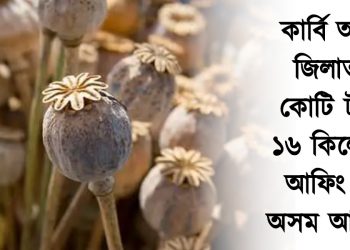 কাৰ্বি আংলং জিলাত ৪ কোটি টকাৰ ১৬ কিলোগ্ৰাম আফিং জব্দ অসম আৰক্ষীৰ